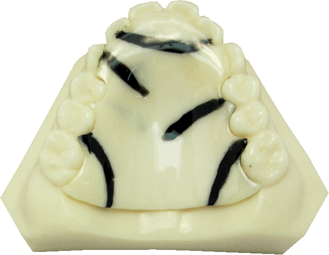 Color zebra